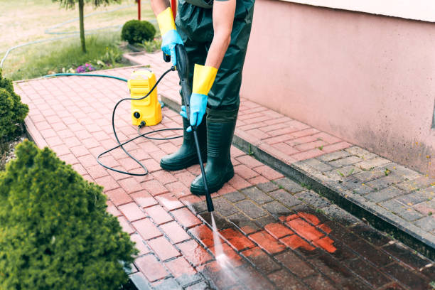 Best Animal Enclosure Cleaning  in Dundee, NY